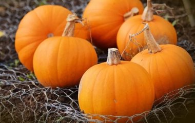 Допомагає схуднути та лікує серце: 5 причин їсти гарбуз якнайчастіше