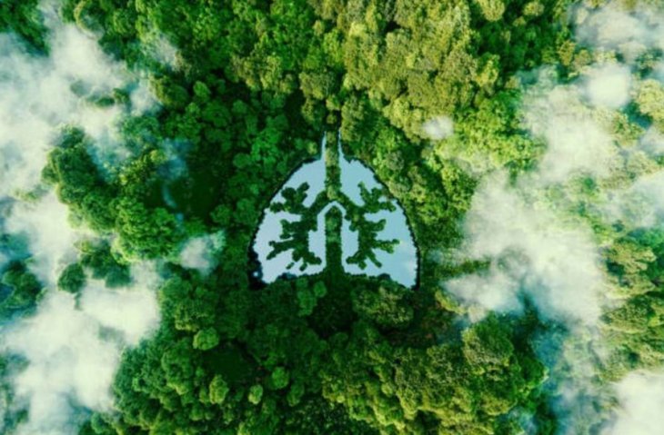 Медики назвали худшие привычки для здоровья легких