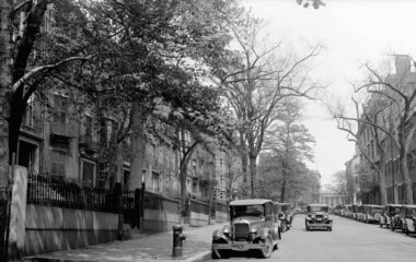 Кривавий сніг над Бостоном: що насправді сталося у 1930-х і чому це лякає досі