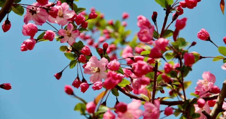 День ангела 21 квітня: кого та як вітати з іменинами