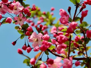 День ангела 21 квітня: кого та як вітати з іменинами