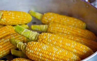 Медики назвали полезные свойства кукурузы для здоровья
