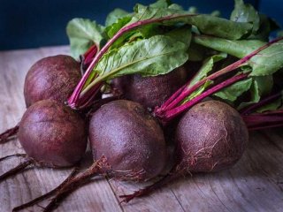Снижение давления и улучшение пищеварения: как употребление свеклы влияет на здоровье организма