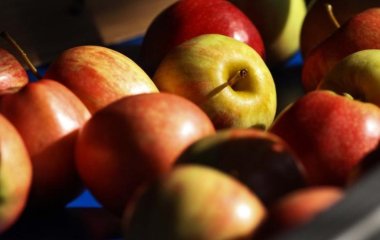 Названо вісім продуктів із протираковими властивостями