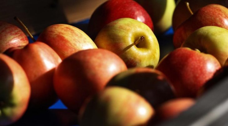 Названо вісім продуктів із протираковими властивостями