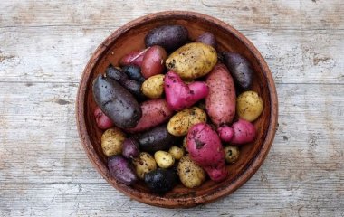 Синя, червона чи біла: яка картопля найкорисніша?