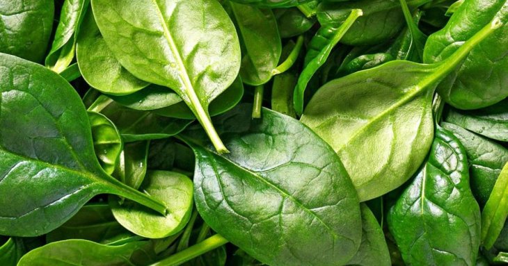 Шпинат: користь та шкода зелені для організму