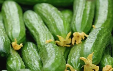 Названо три продукти, які допоможуть швидше схуднути
