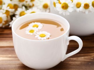 Нормализует уровень сахара и борется с бессонницей: зачем пить ромашковый чай