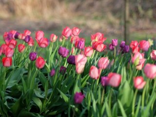 День ангела 4 квітня: кого та як вітати з іменинами