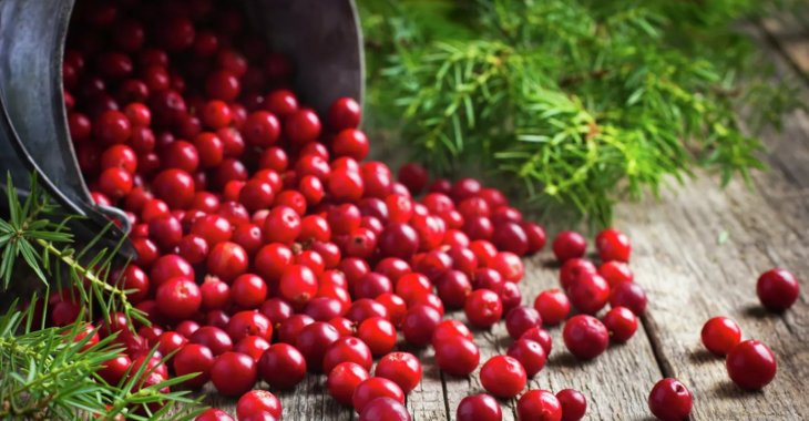 Лікар назвала осінні продукти для імунітету