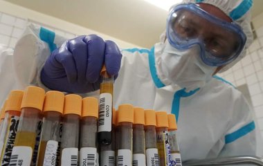 Биолог назвала группы крови со способностью противостоять COVID-19