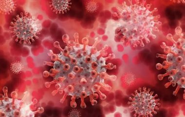 Вчені знайшли ген, який удвічі збільшує ризик важкої течії Covid-19, і розповіли, у кого він зустрічається частіше