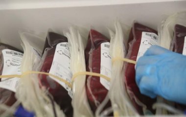 Лікар назвала групу крові «універсального донора»
