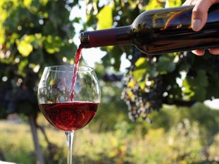 Правда в вине: врачи рассказали, как правильно употреблять напиток