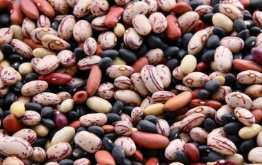 Коли садити квасолю у відкритий ґрунт: найкращі дати за місячним календарем 2026 року