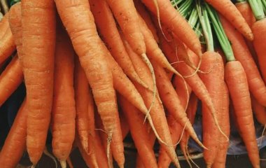 Корисні солодощі: 7 дешевих та смачних продуктів, які швидко знижують рівень цукру в крові