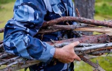 Правила збору дров у лісах України: чи зміниться щось для громадян 2026 року