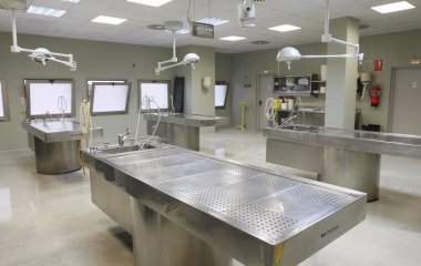 Жінка, яку оголосили мертвою, прийшла до тями в морзі — що відомо