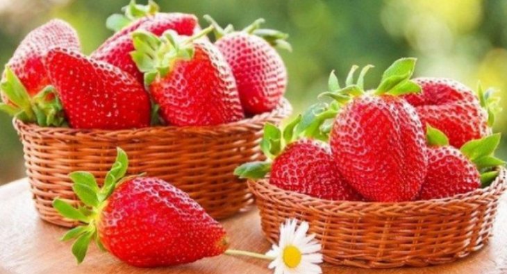 Как хранить свежую клубнику в холодильнике или морозилке