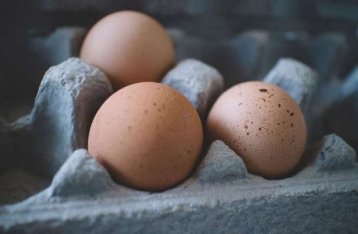 Куриные яйца не несут угрозы для организма человека - учёные