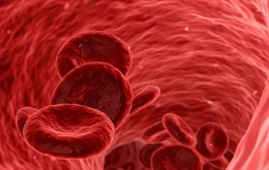 Лікарі назвали ознаки утворення тромбу в організмі