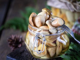 Як приготувати маринад для грибів, щоб вони вийшли дуже смачними: секрет досвідчених господинь
