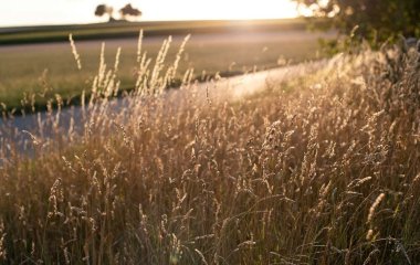День ангела 1 серпня: кого та як вітати з іменинами