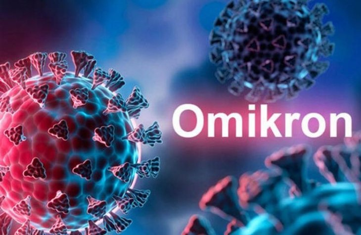 Пояснено меншу патогенність омікрон-варіанту коронавірусу.