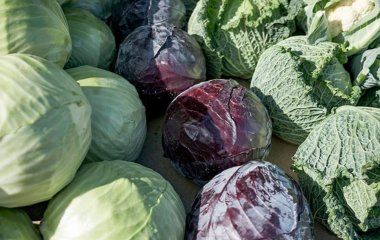 Педіатр порадив давати дітям капусту та шпинат для розвитку