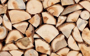 Де в Україні можна легально заготовляти дрова для опалення