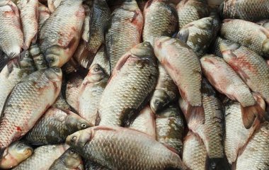Як почистити рибу від луски без ножа за пару секунд