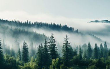 77-річний чоловік упав у глибоку пастку і три дні був змушений пити тільки вино: що сталося