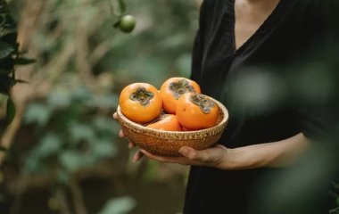 Розлад шлунка та метеоризм: лікар розповіла, чим може обернутися переїдання хурми