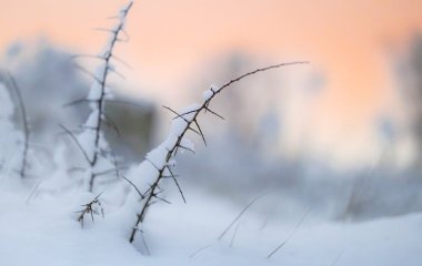 День ангела 12 січня: кого та як вітати з іменинами