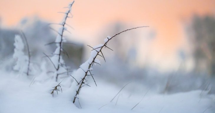 День ангела 12 січня: кого та як вітати з іменинами