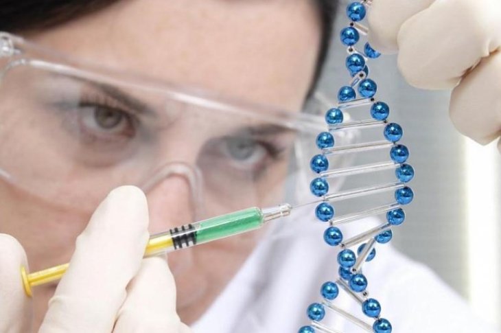 Ученые не нашли «ген старости», но научились предсказывать долголетие