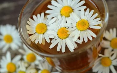 Лікарські трави, які можуть зашкодити здоров'ю