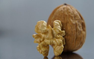 Додайте до свого раціону цей горіх, якщо не хочете старіти: дослідження показали — він дуже ефективний