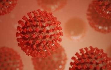 Імунолог пояснив, як коронавірус ховається в організмі