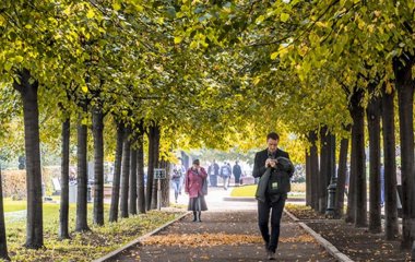 Лікарі назвали необхідну кількість кроків на день