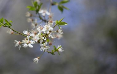 День ангела 16 травня: кого та як вітати з іменинами