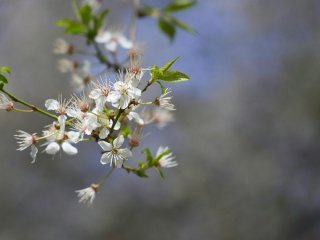 День ангела 16 травня: кого та як вітати з іменинами