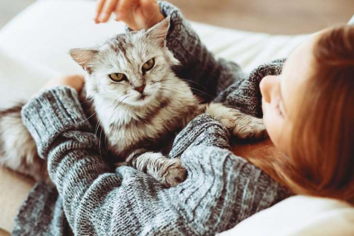 Жизнь не та: 5 причин завести в доме кота