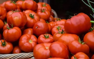 Этот продукт ни в коем случае нельзя хранить в холодильнике, но все совершают эту ошибку