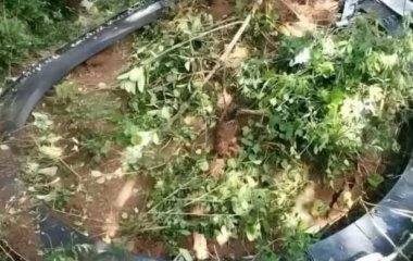 У селі впало таємниче космічне сміття: люди нажахані 
