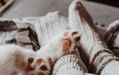 Чому мерзнуть ноги і коли потрібно звернутися до лікаря
