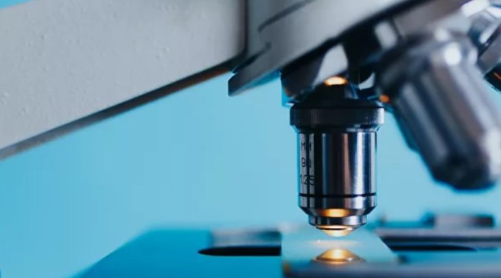 Вчені знайшли ген, який допоможе у боротьбі з діабетом та раком