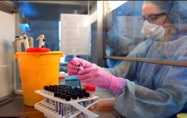 Ученые выяснили, действуют ли антитела против нового штамма коронавируса