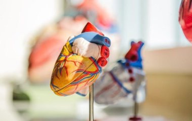 Ученые назвали малозаметные симптомы сердечной недостаточности